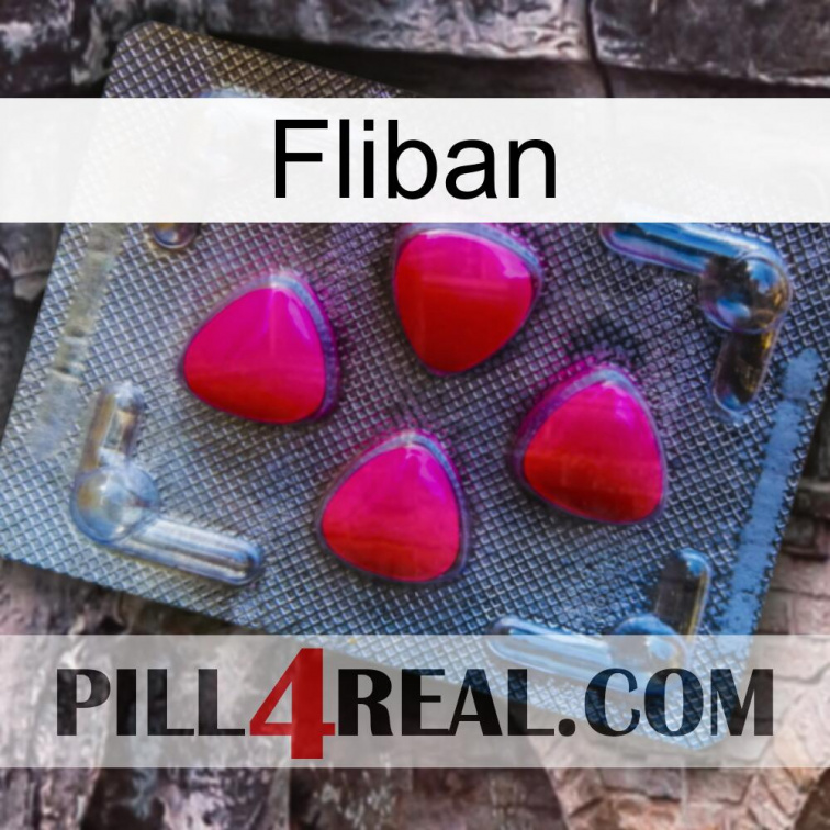 Fliban 13
